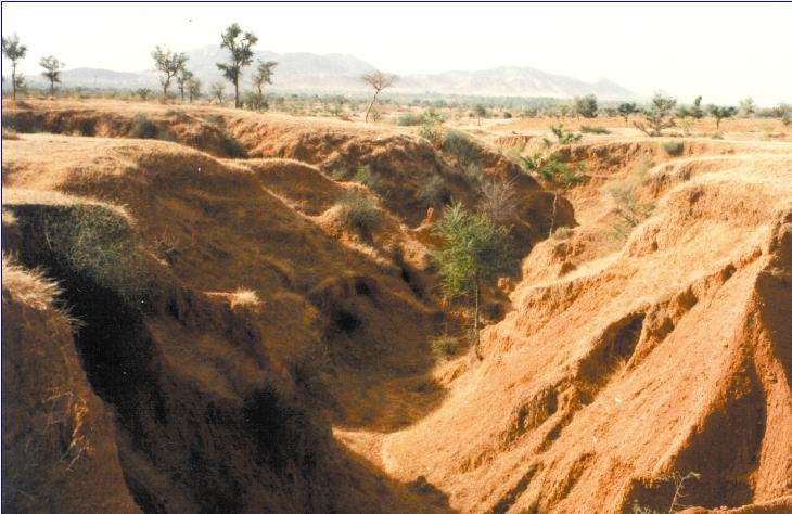 Severs erosion in Rajasthan